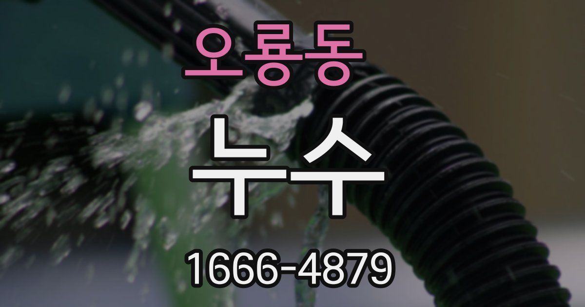 오룡동 누수