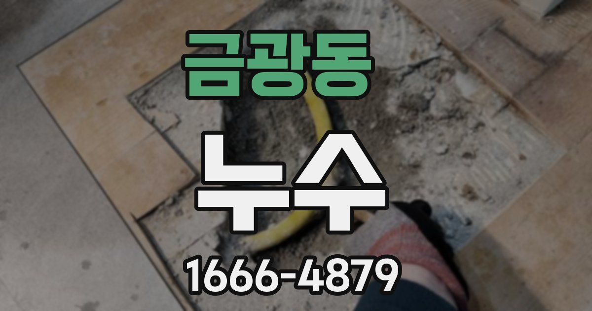 금광동 누수