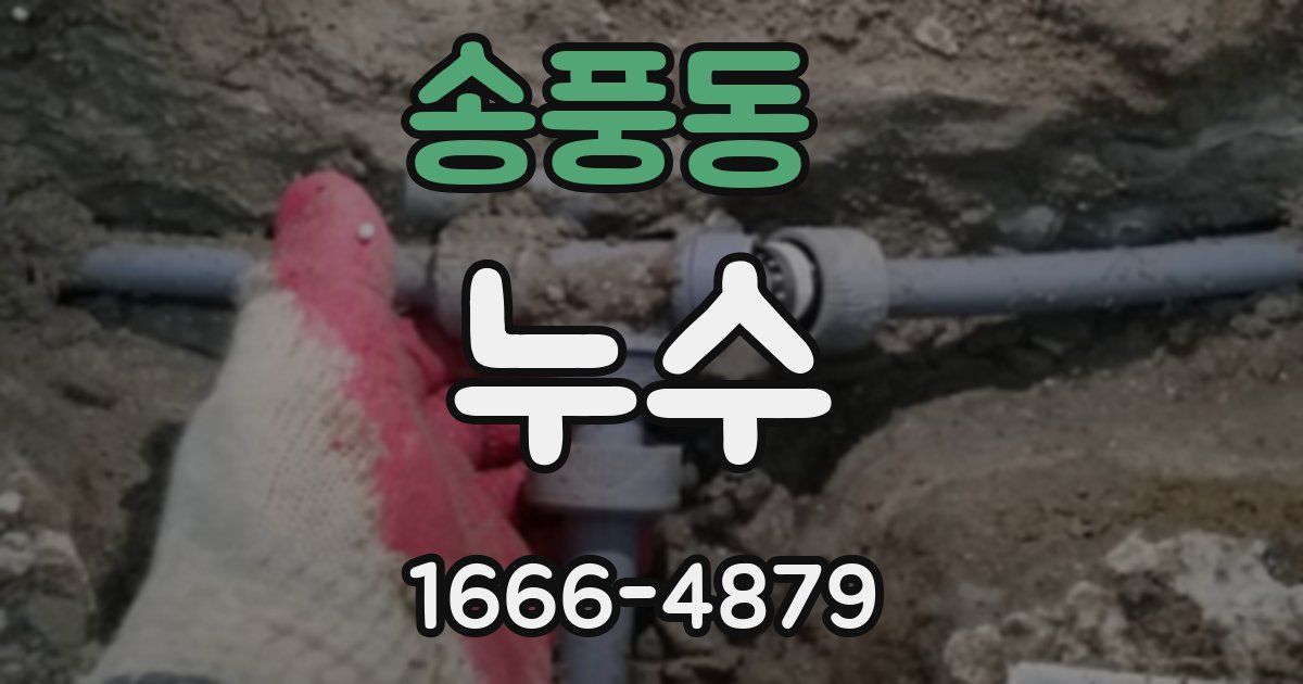 송풍동 누수