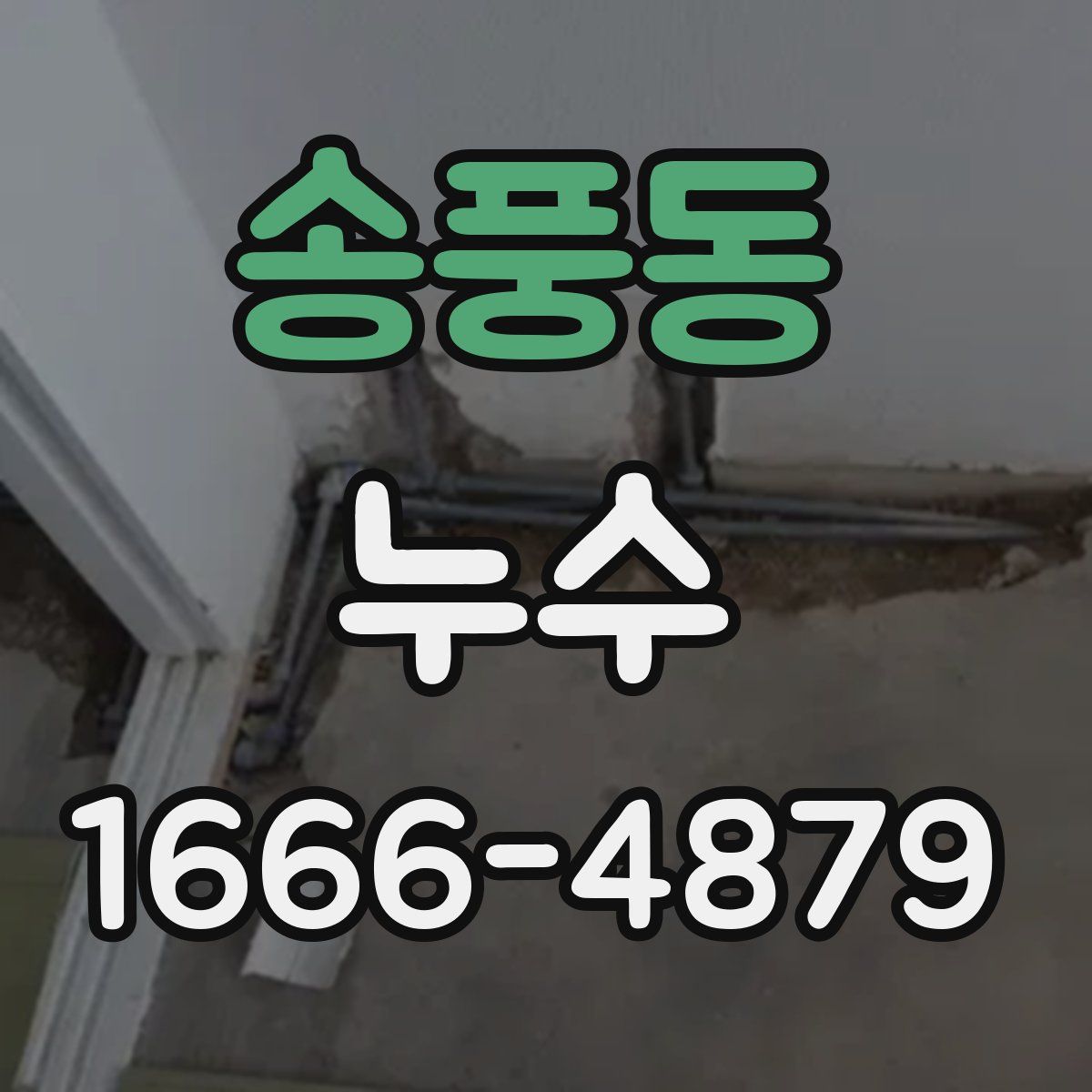 송풍동 누수