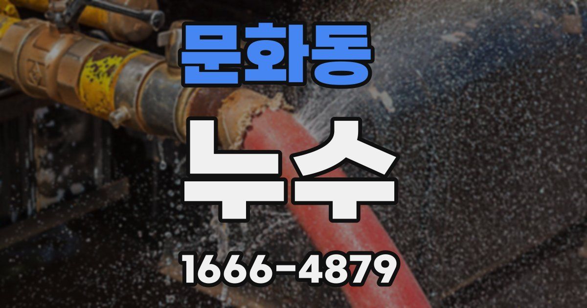 문화동 누수
