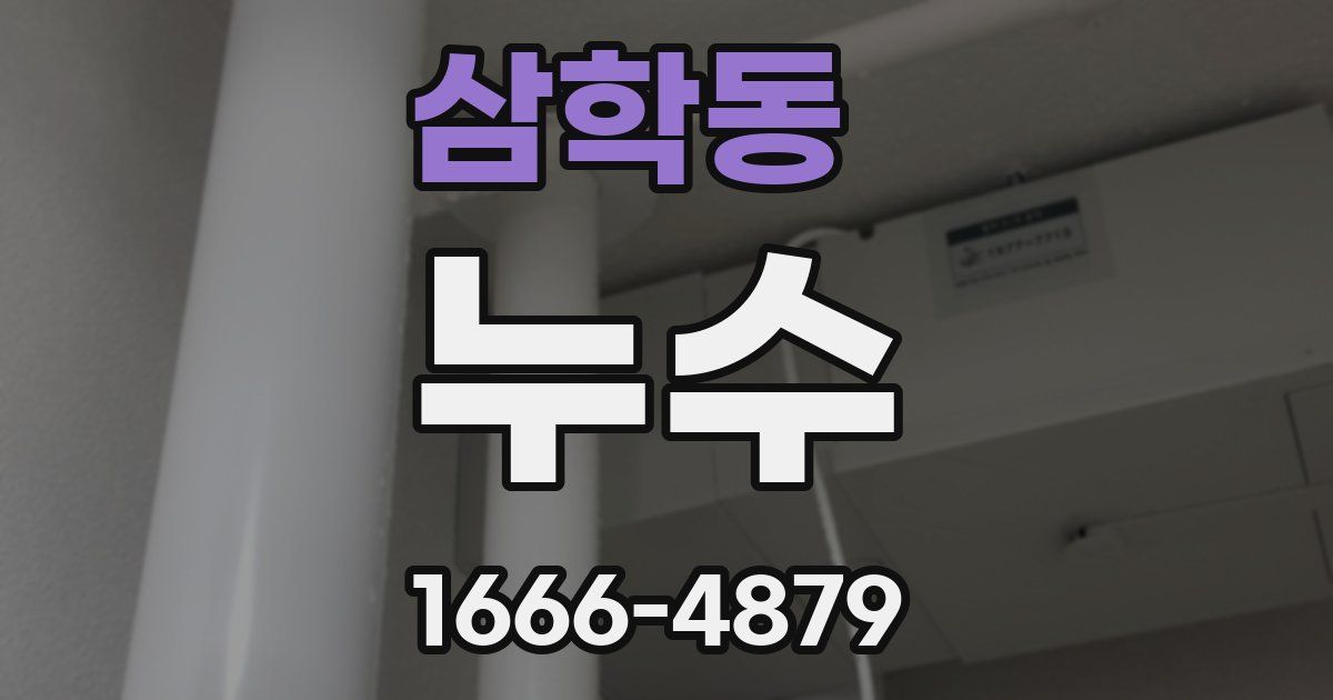 삼학동 누수