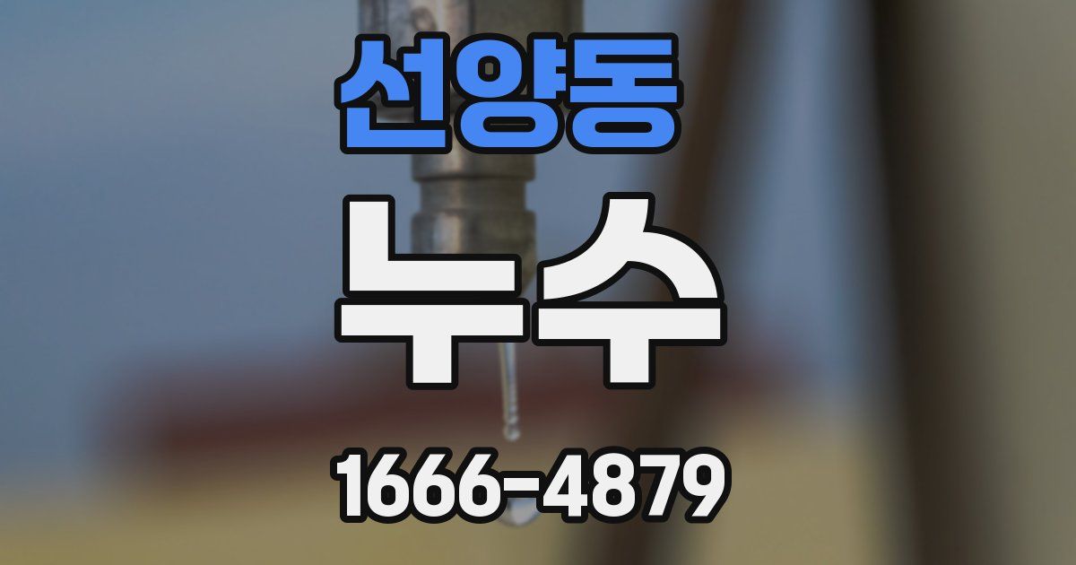 선양동 누수