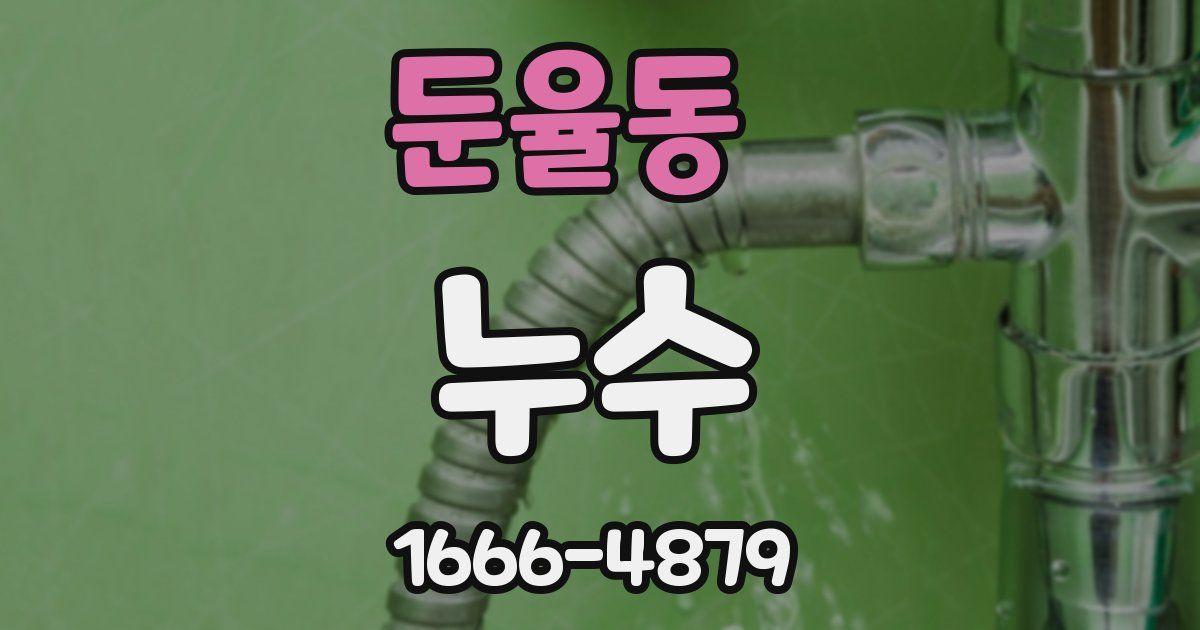 둔율동 누수