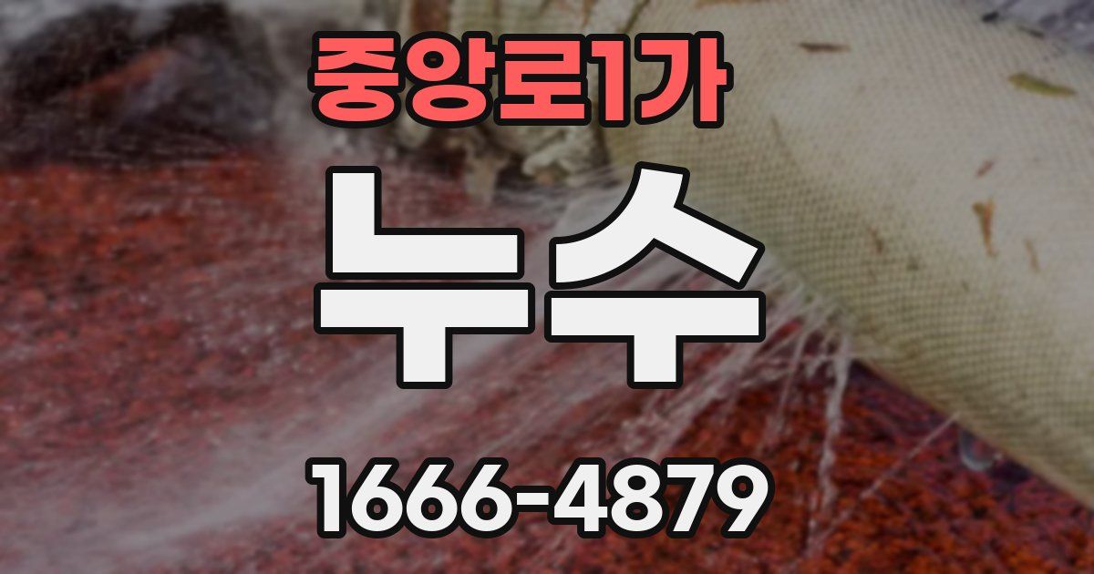 중앙로1가 누수