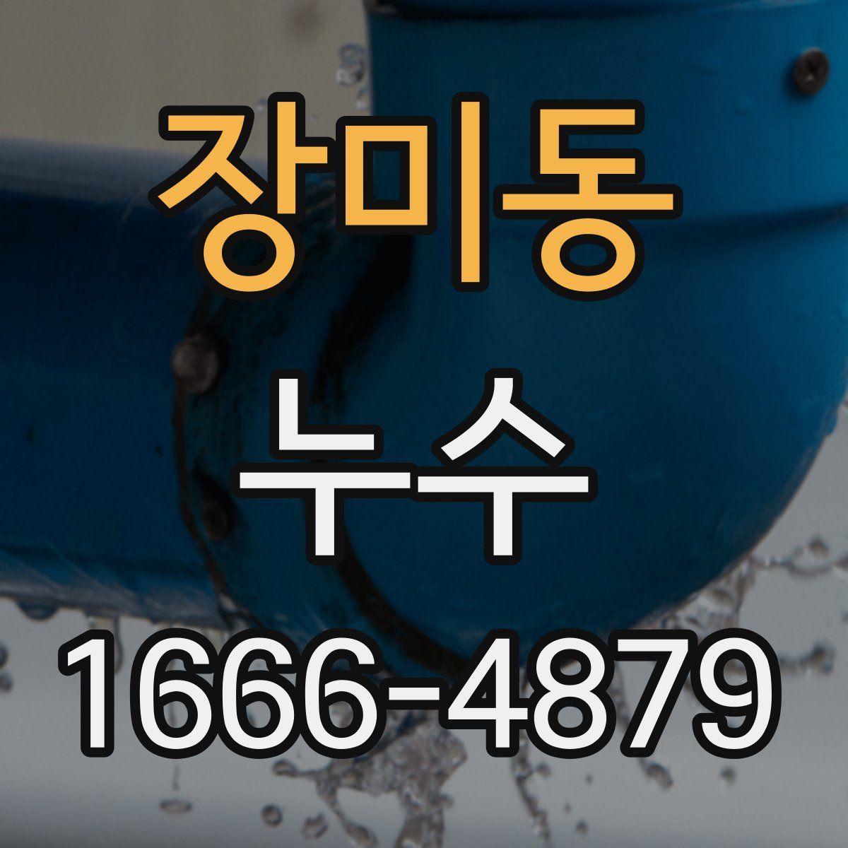 장미동 누수