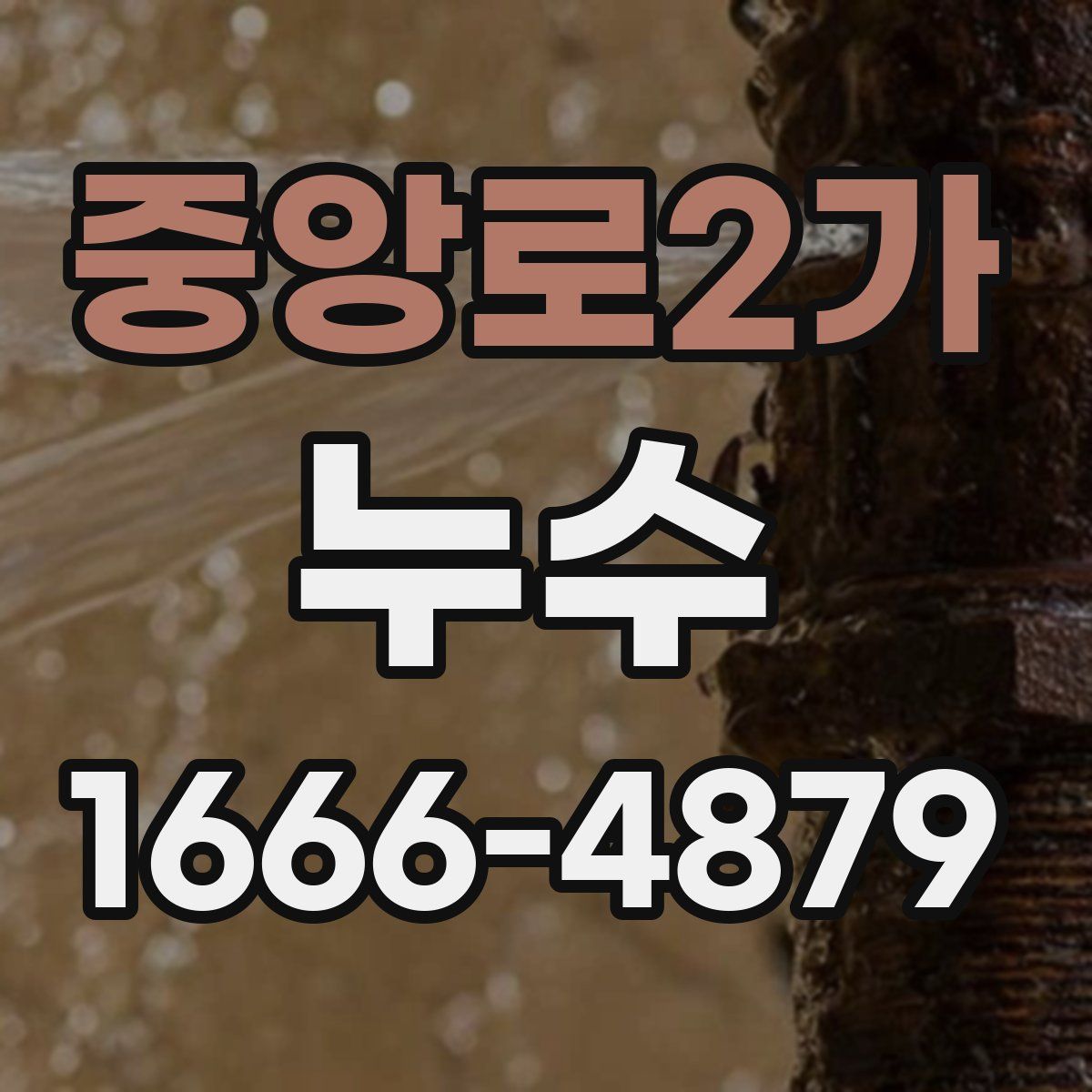 중앙로2가 누수