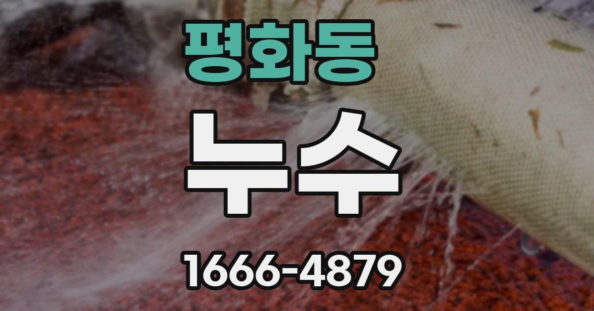 평화동 누수