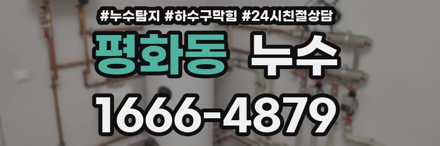 평화동 누수