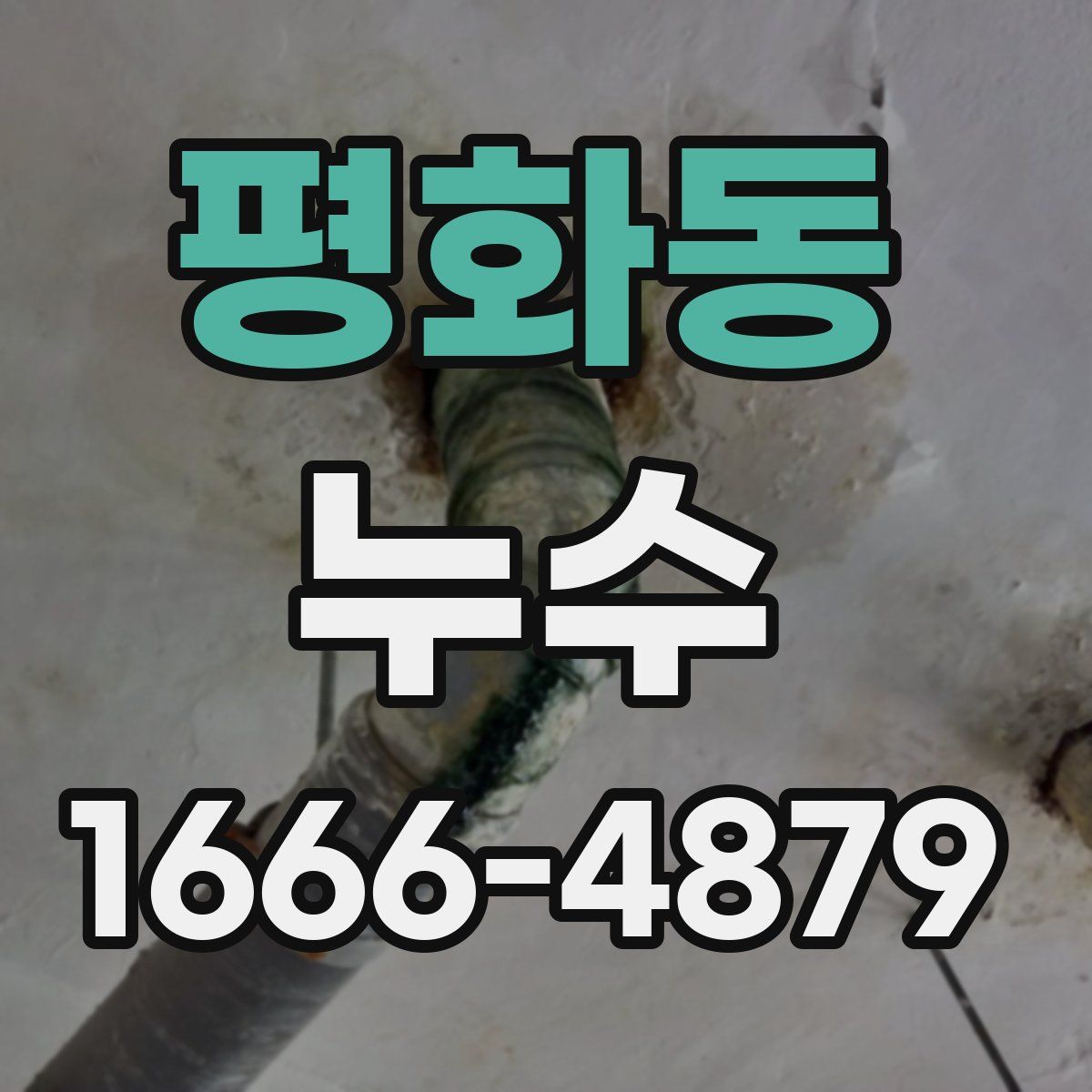 평화동 누수