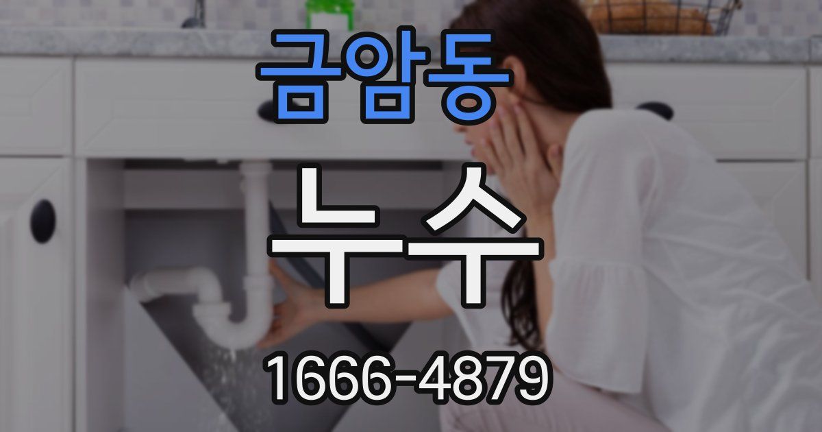 금암동 누수