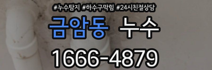 금암동 누수