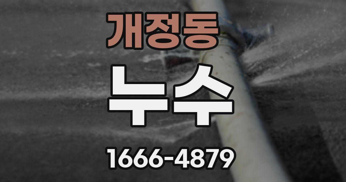 개정동 누수
