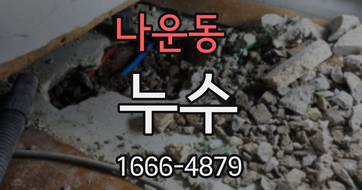 나운동 누수