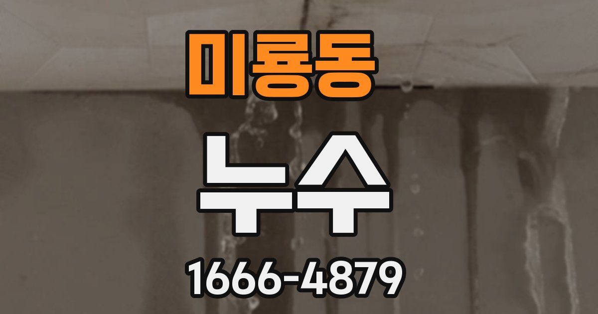 미룡동 누수