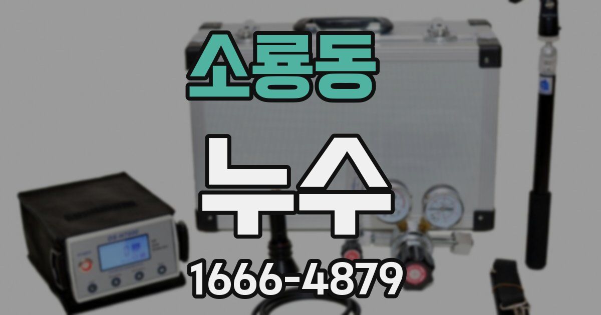 소룡동 누수