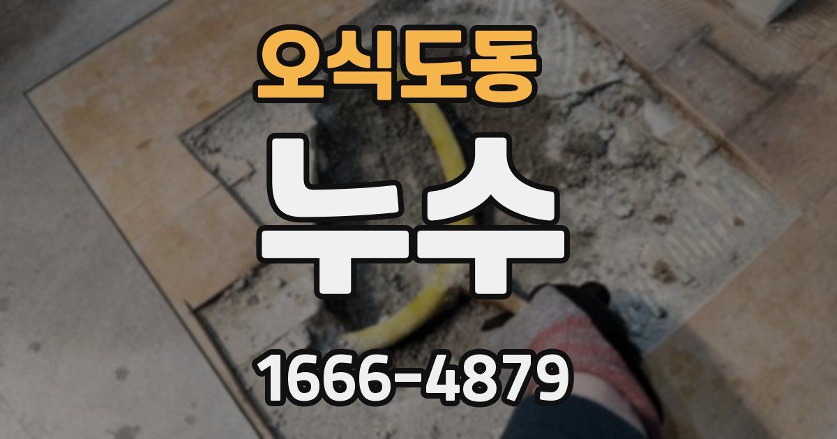 오식도동 누수