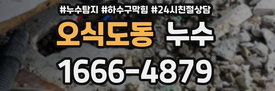 오식도동 누수