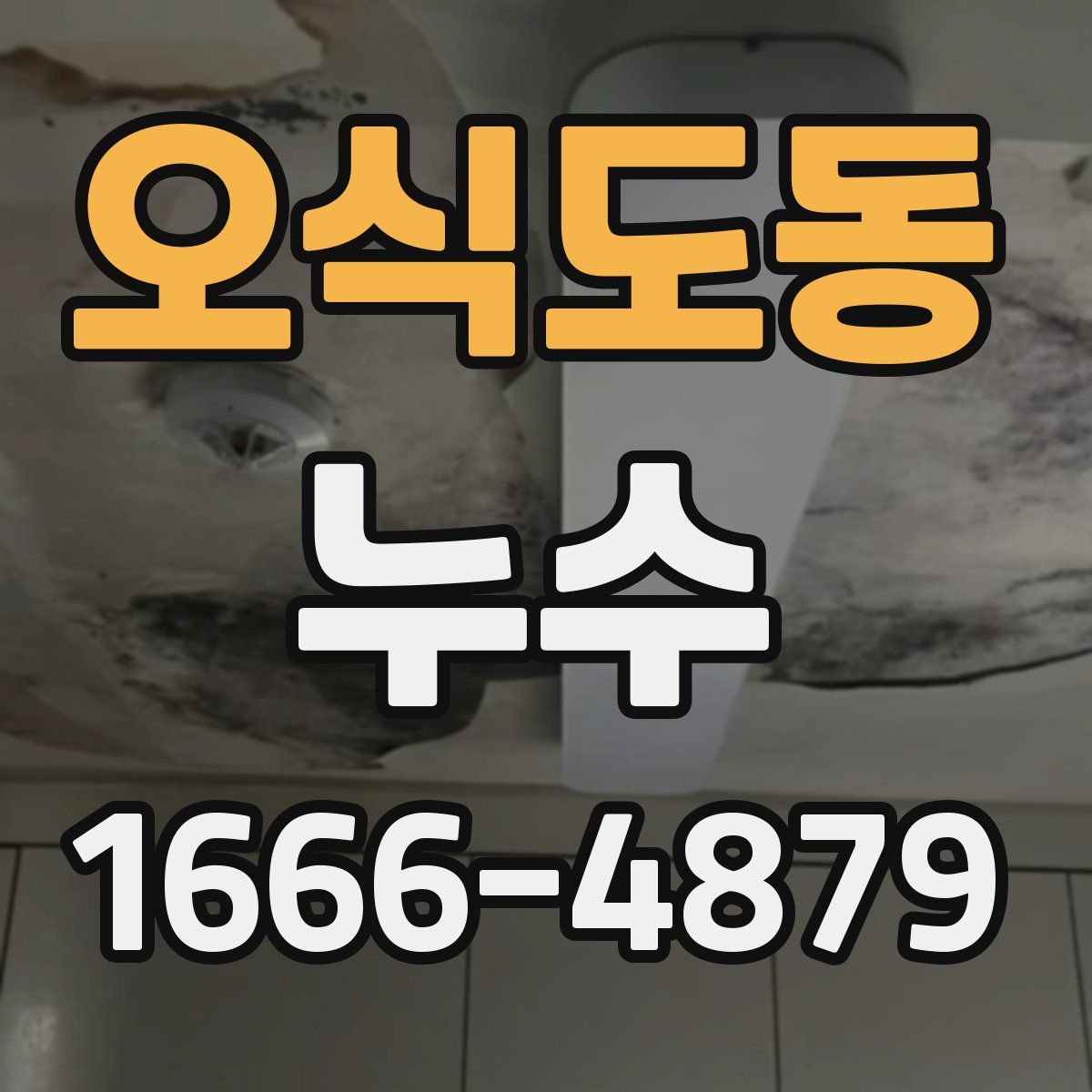 오식도동 누수