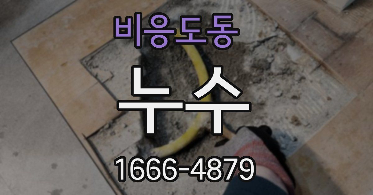 비응도동 누수
