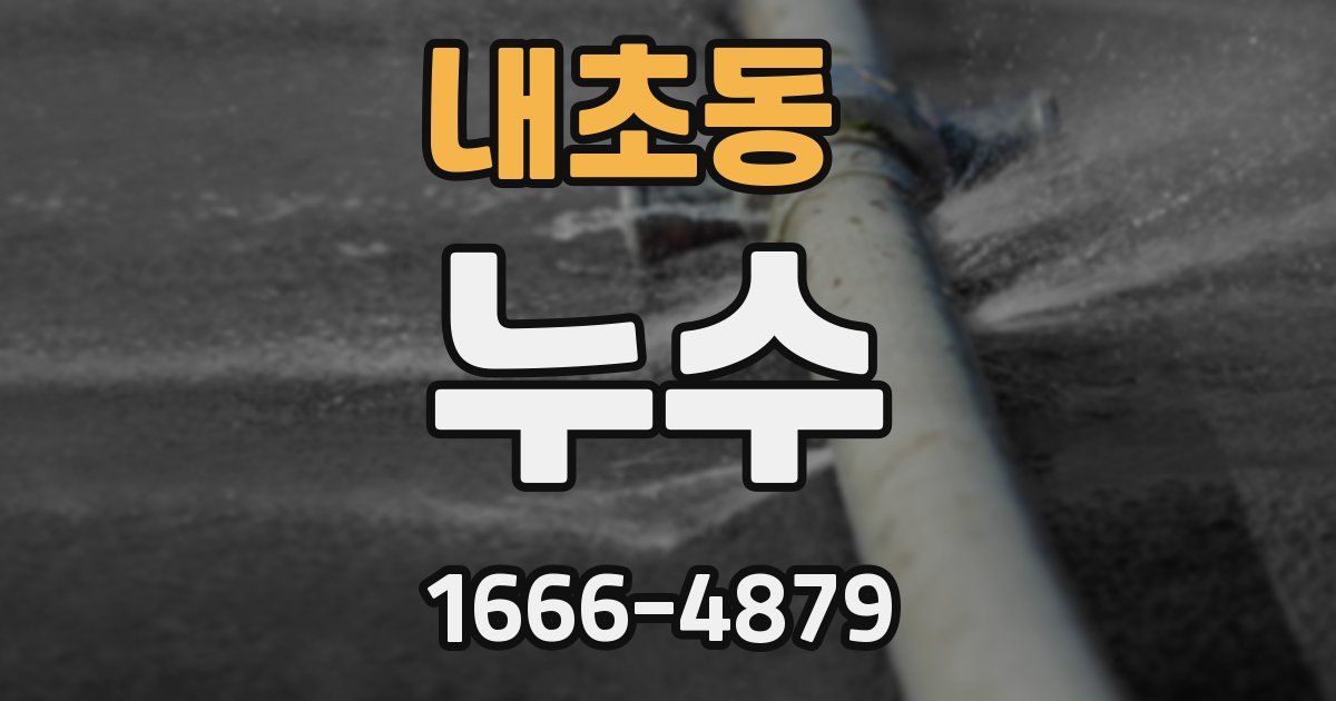내초동 누수