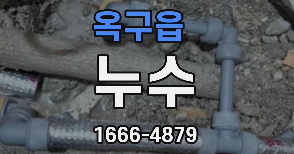 옥구읍 누수