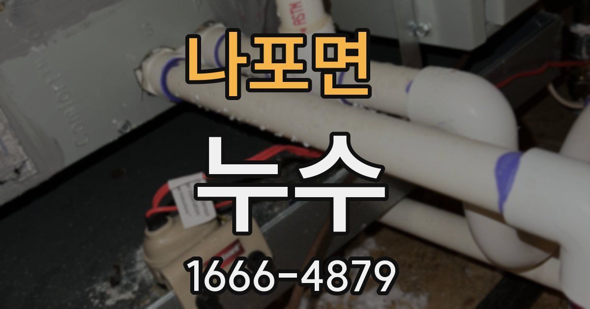 나포면 누수