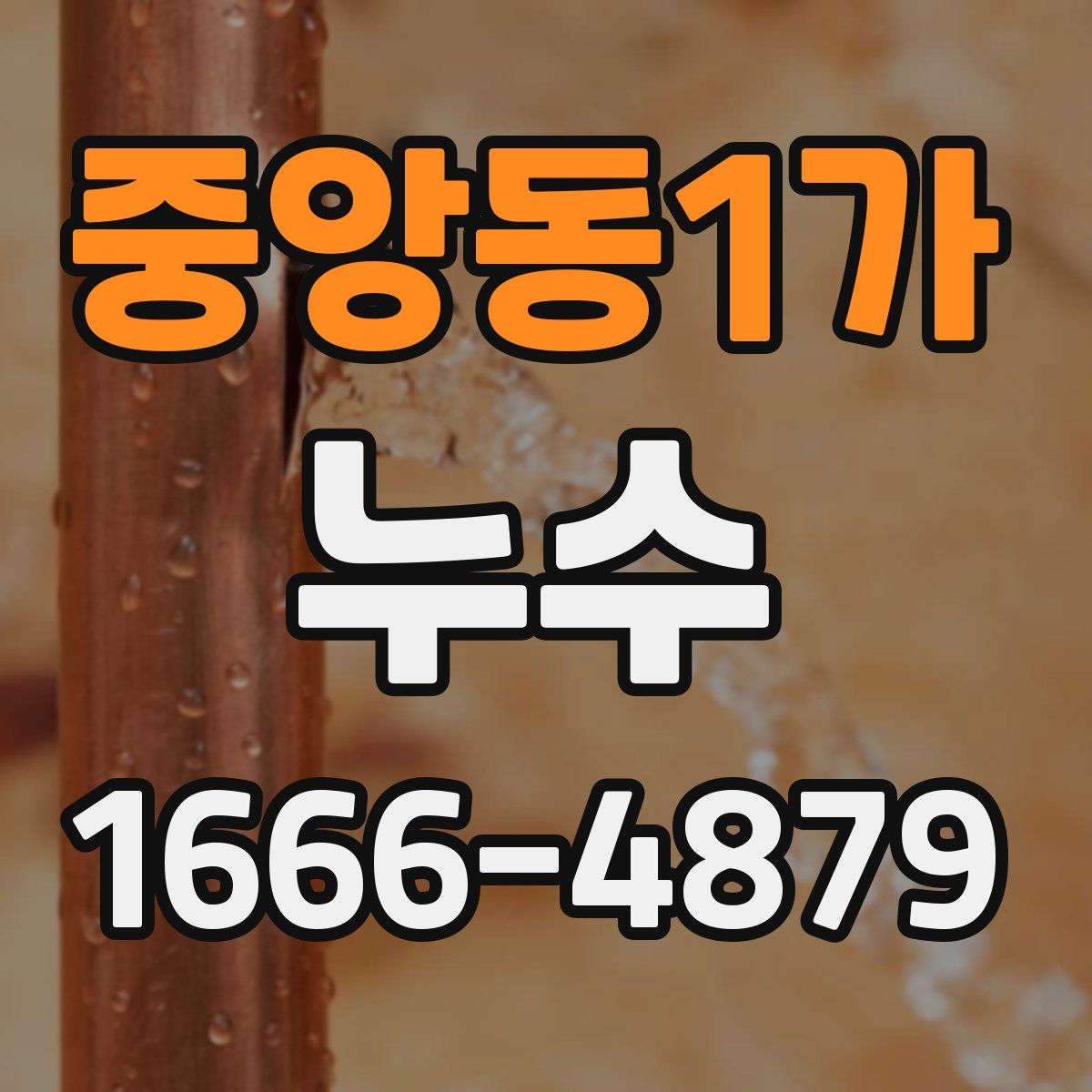 중앙동1가 누수