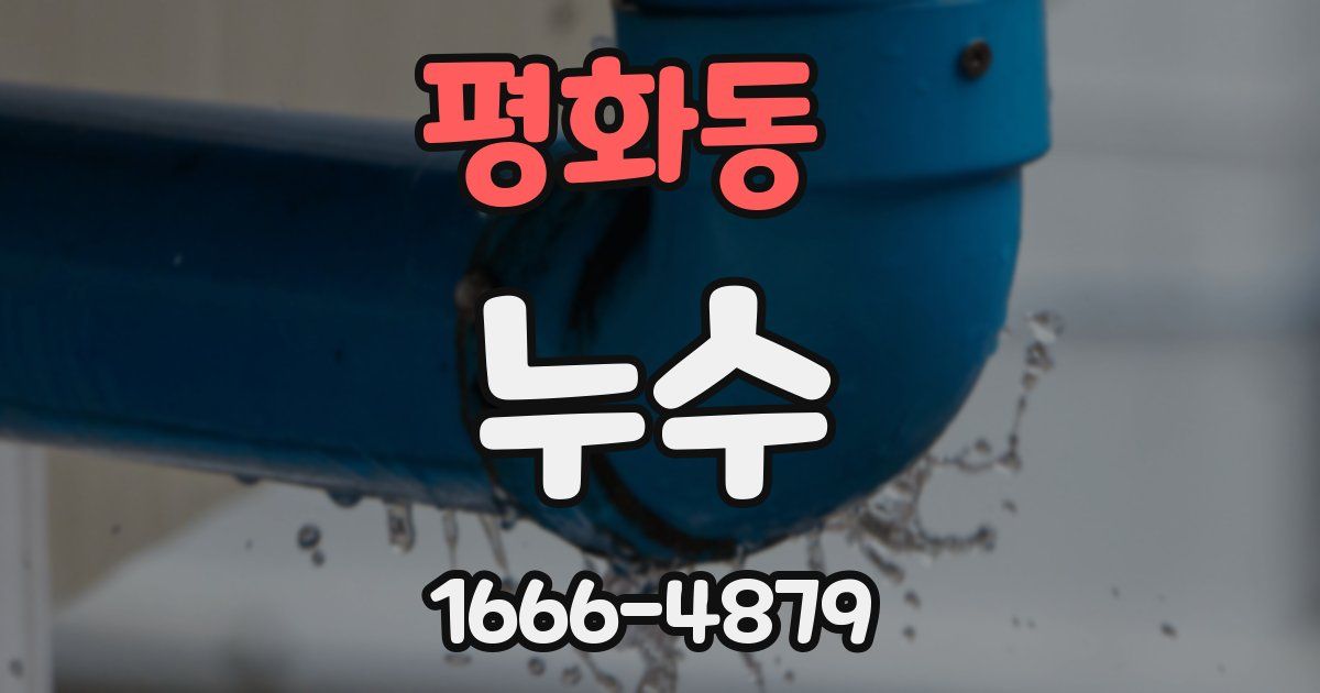 평화동 누수