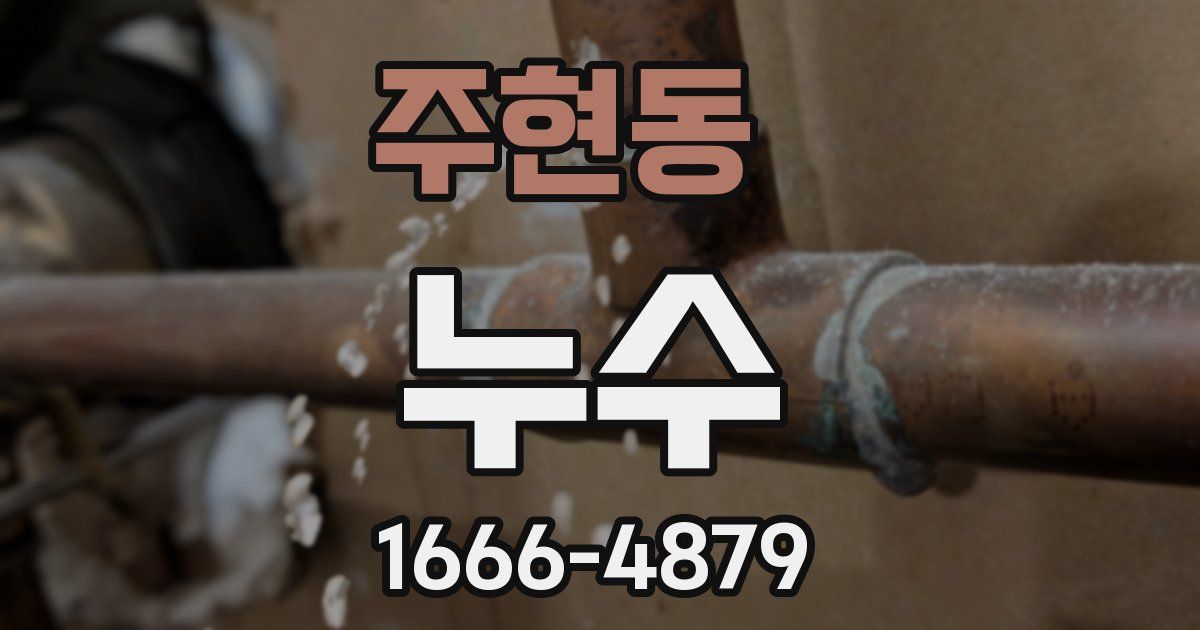 주현동 누수