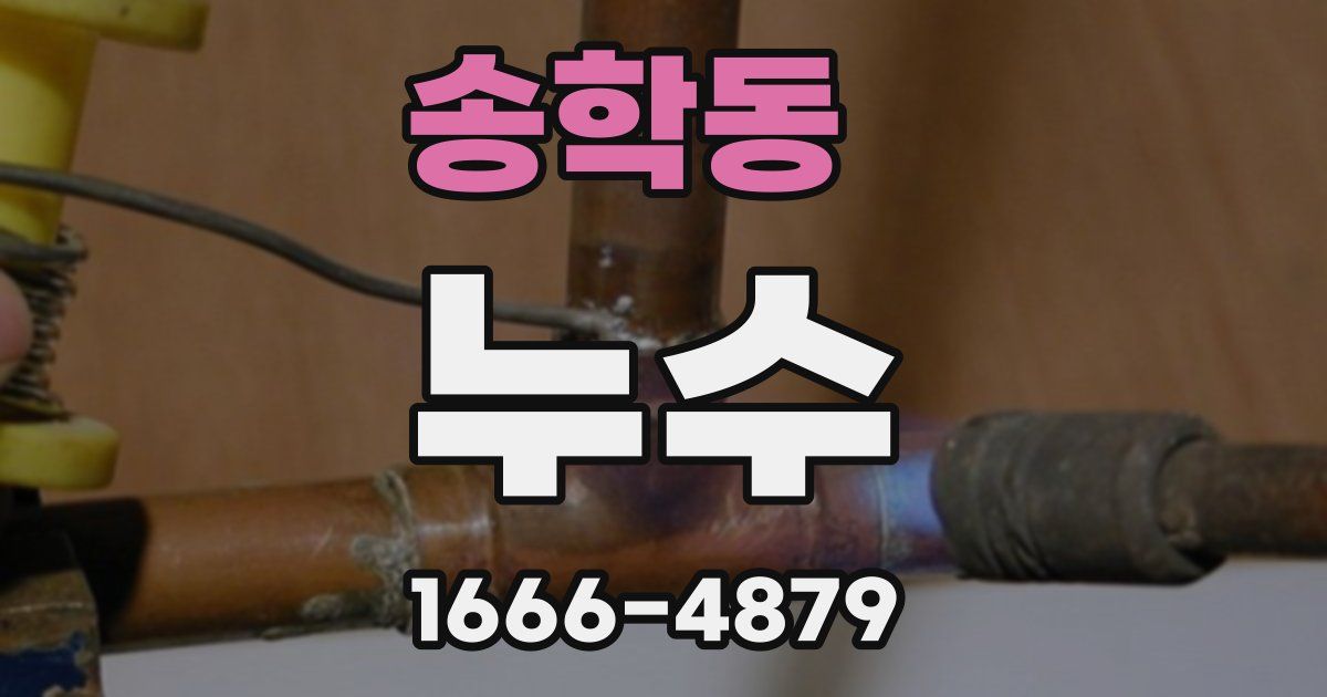 송학동 누수
