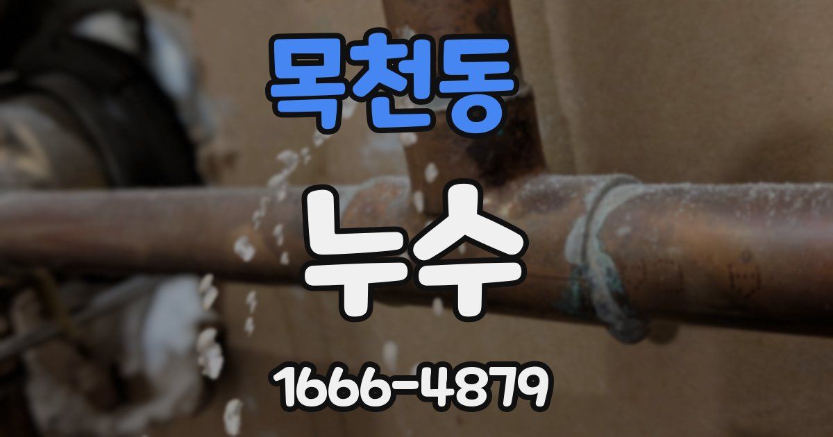 목천동 누수