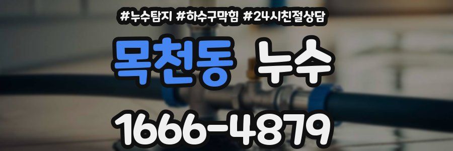 목천동 누수