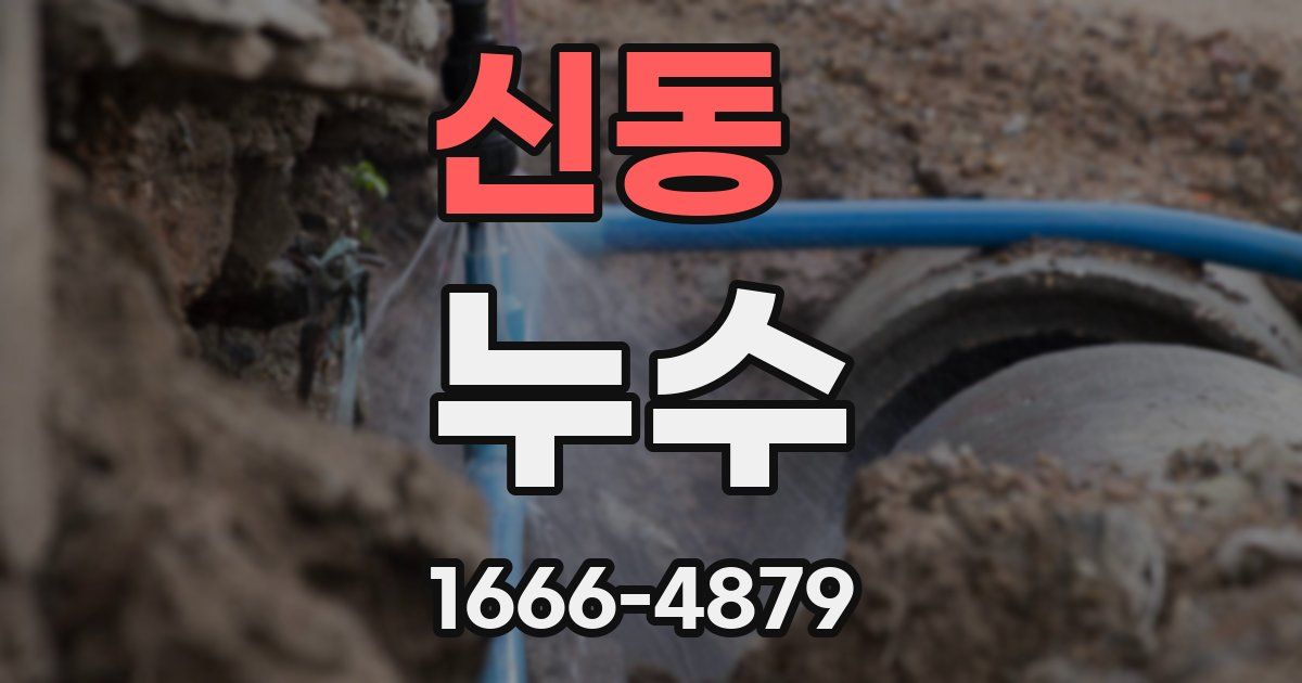 신동 누수