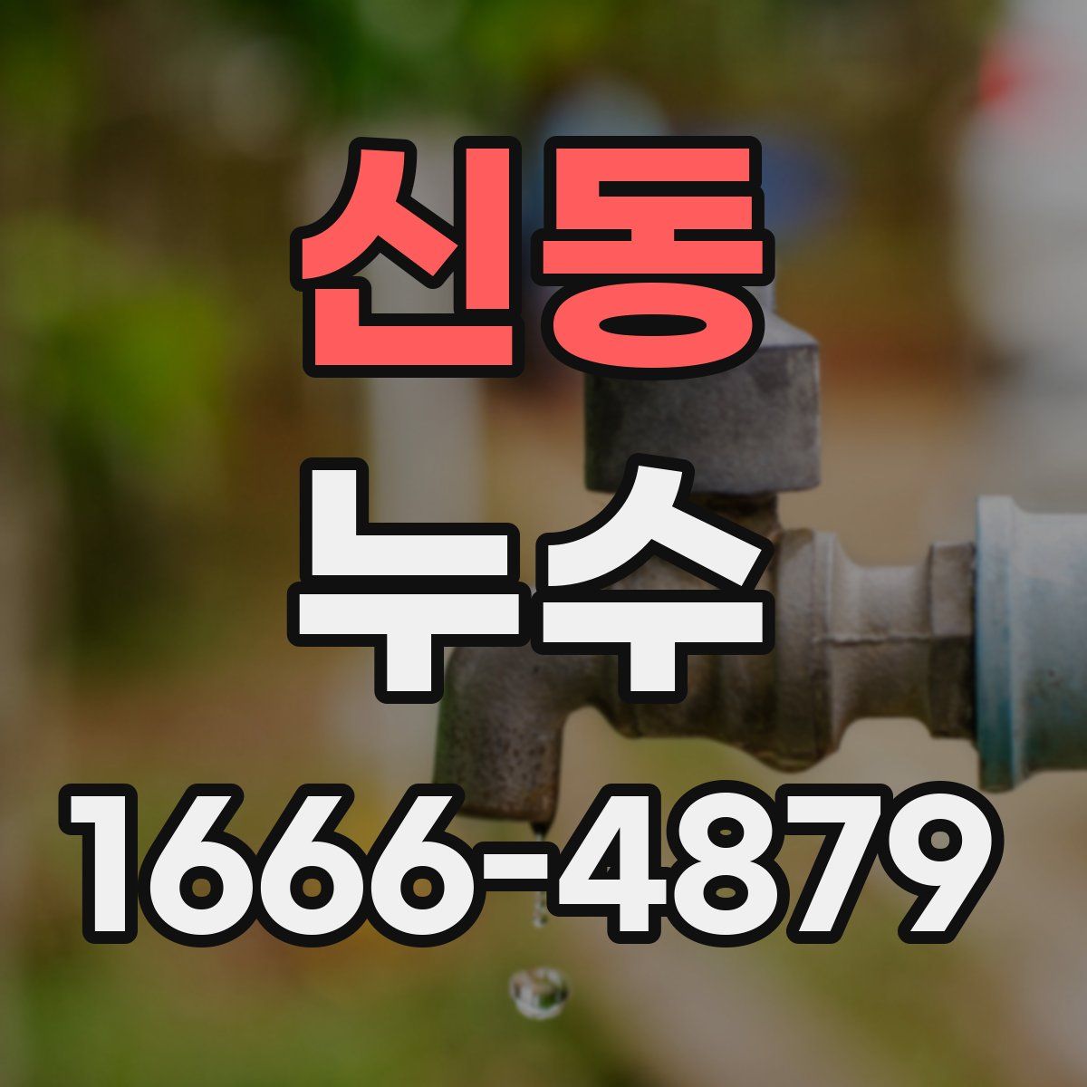신동 누수