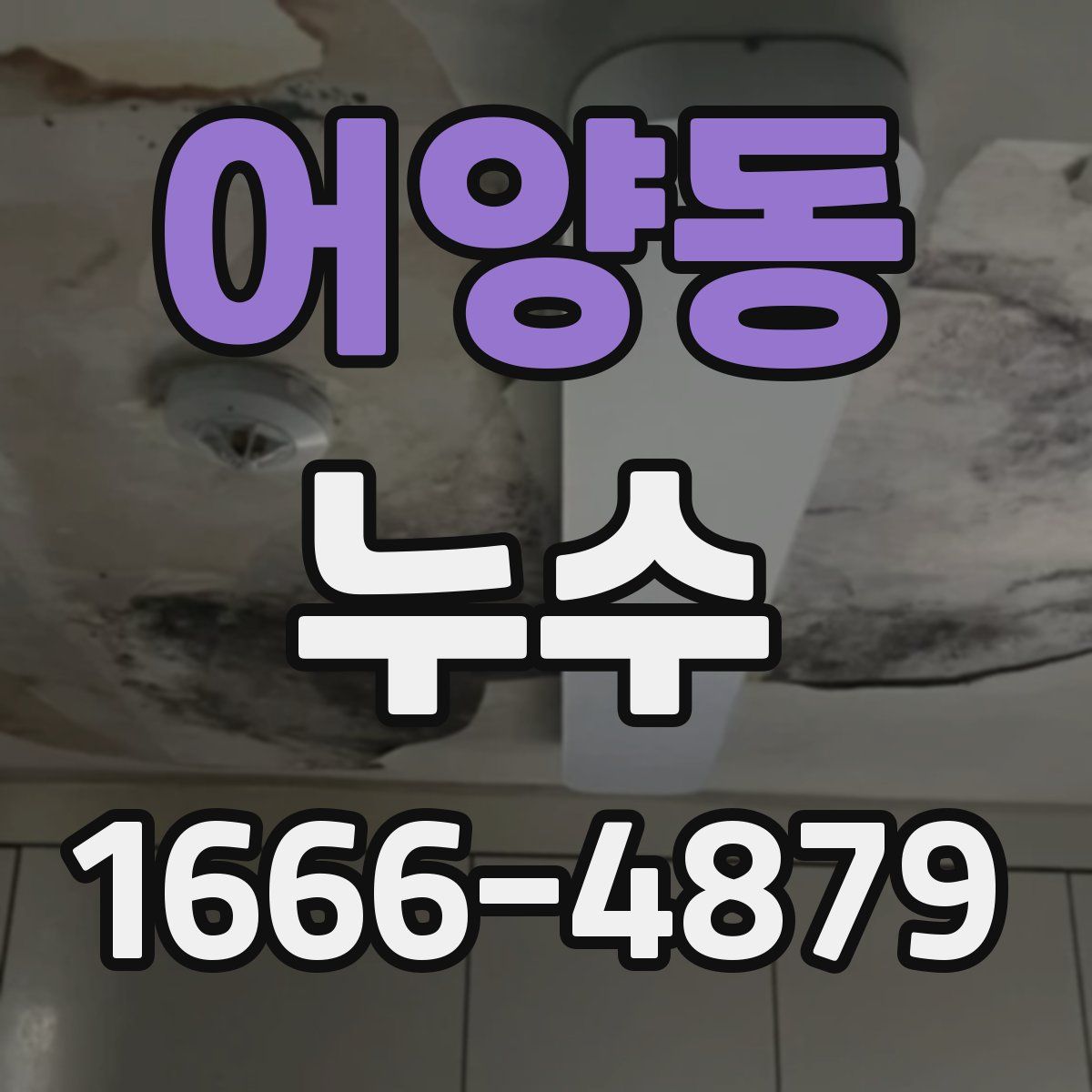 어양동 누수