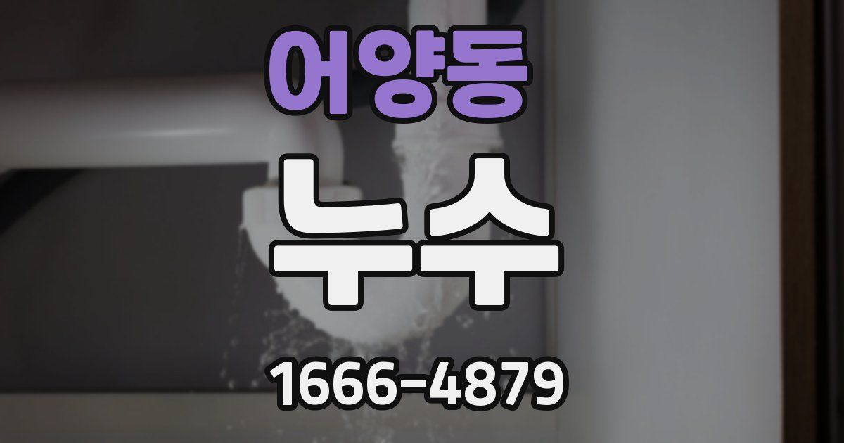 어양동 누수