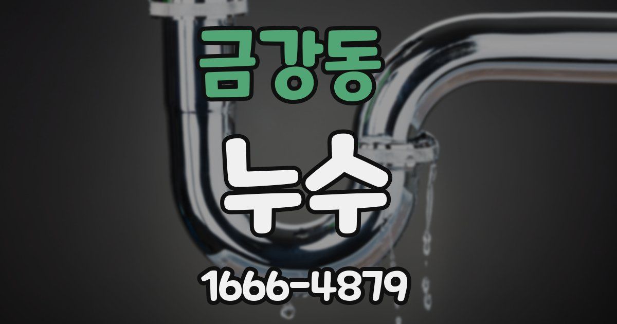 금강동 누수
