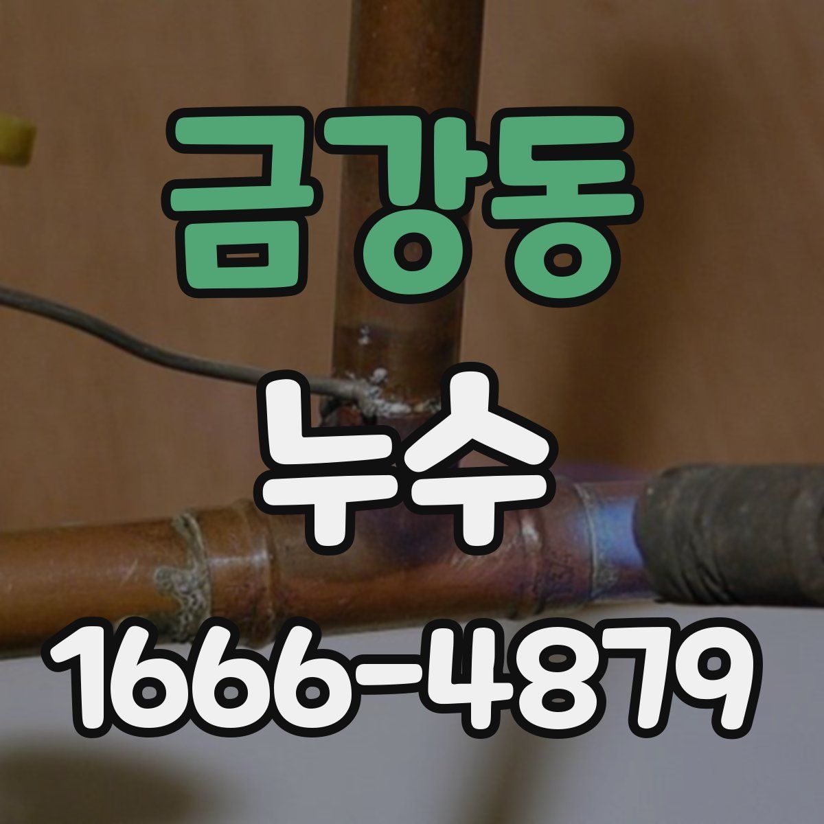 금강동 누수