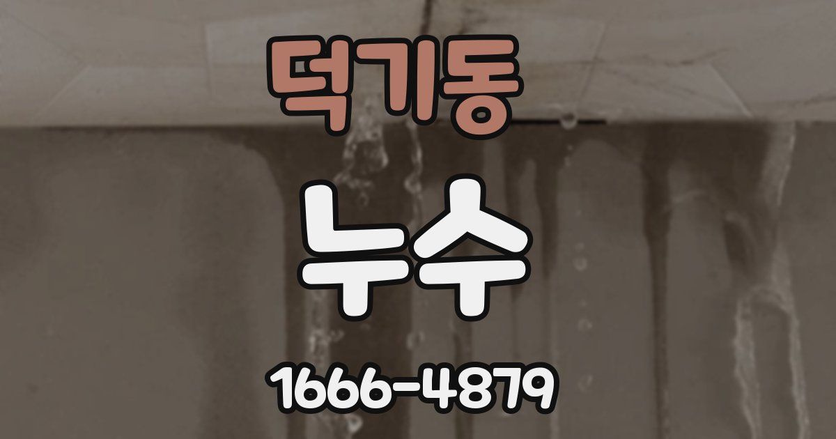 덕기동 누수