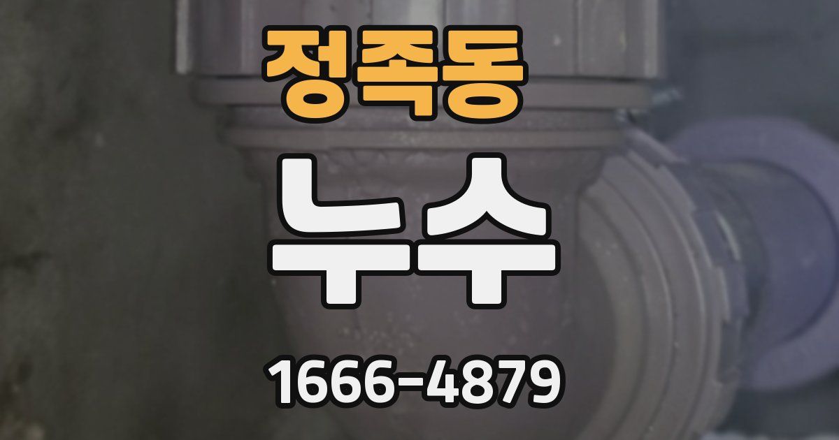 정족동 누수