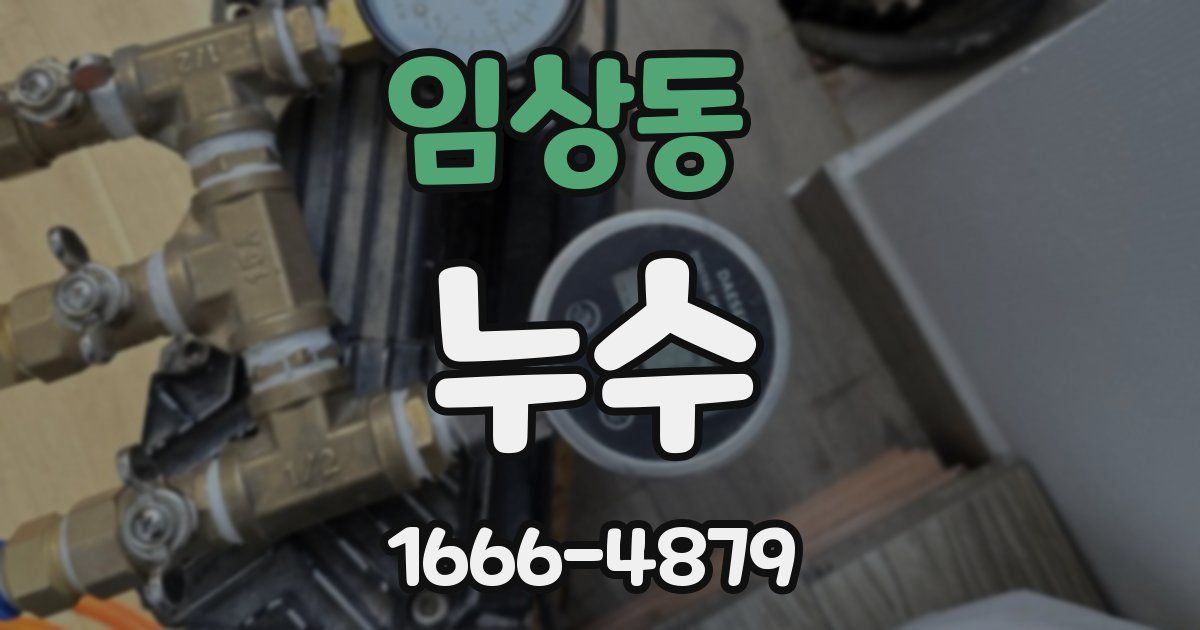 임상동 누수