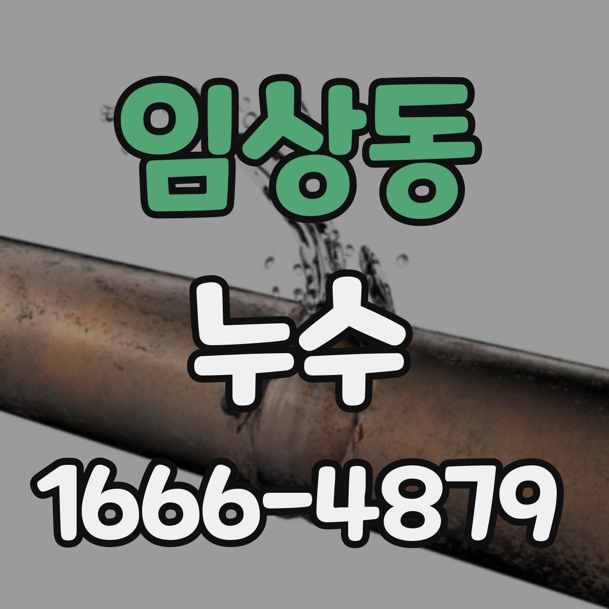 임상동 누수