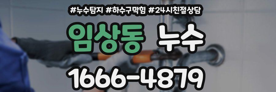 임상동 누수
