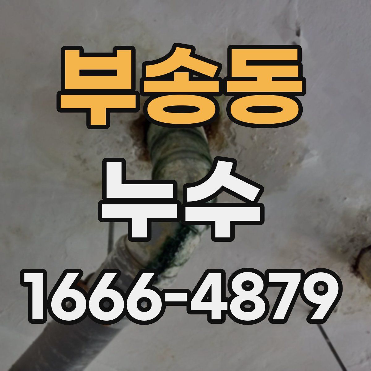 부송동 누수