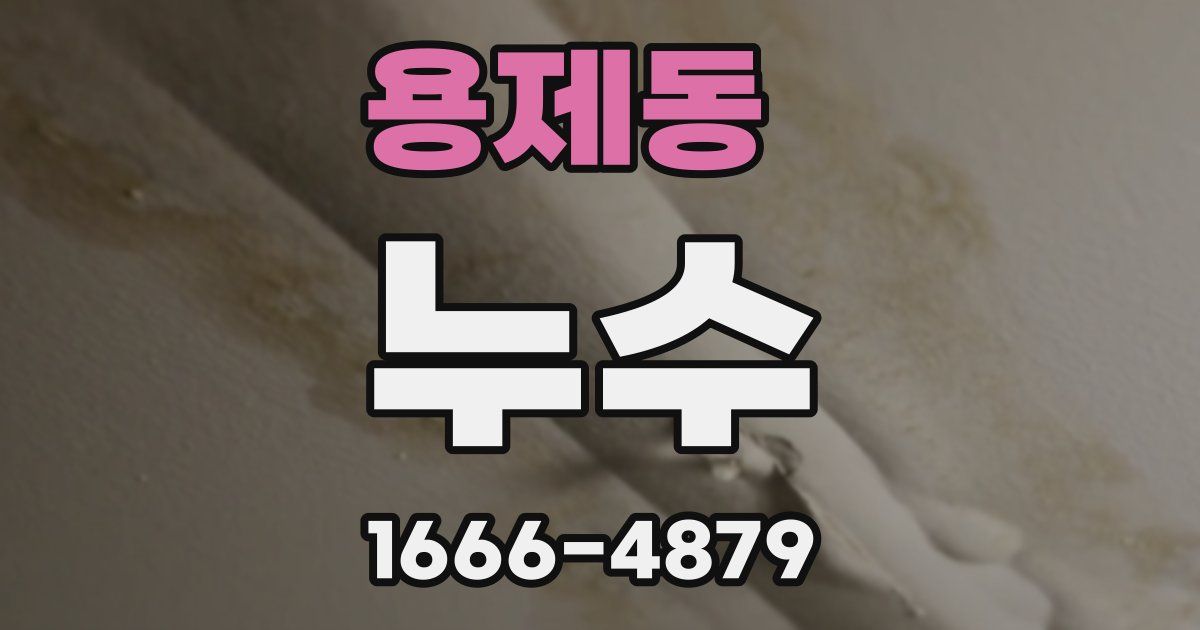용제동 누수