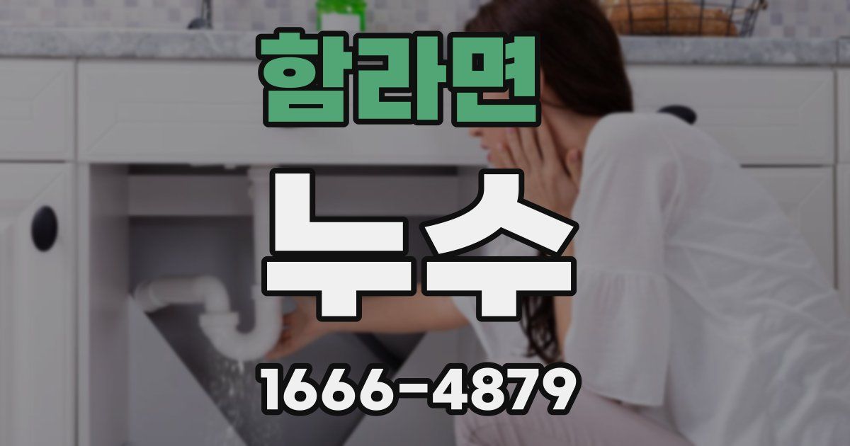 함라면 누수