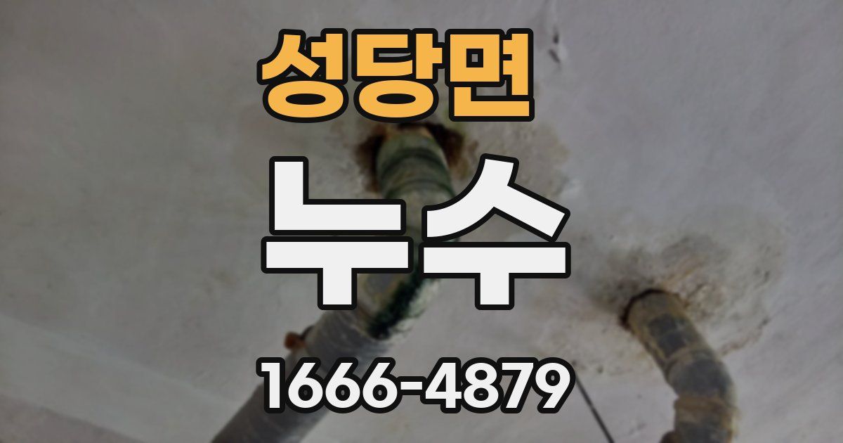 성당면 누수