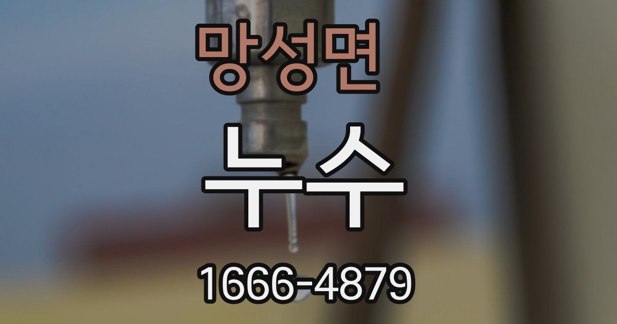 망성면 누수