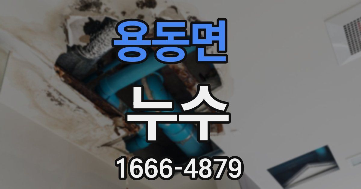 용동면 누수